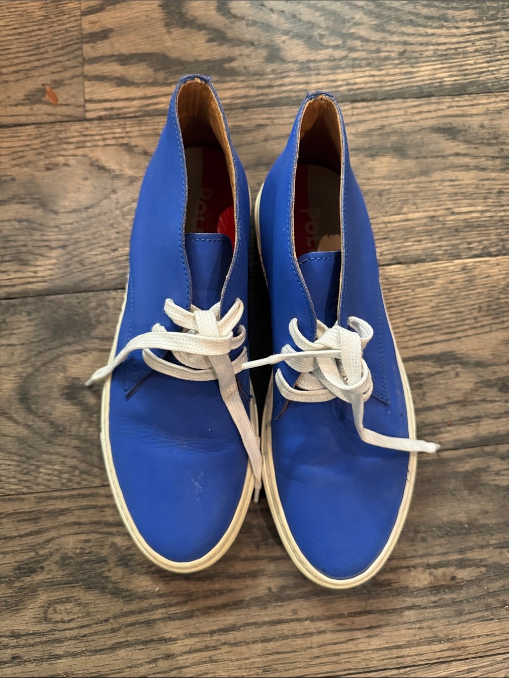 Pollini Sneaker